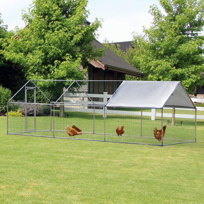 Tucker Murphy Pet™ Laddonia 62.9 Square Feet Chicken Coop with Chicken